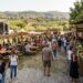Festa del Fungo Porcino 2026 a Velletri, date e concerti